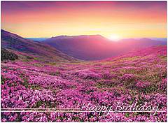 Warm thoughts and best wishes for a spectacular birthday. Lavender Fields Birthday Card A9012U-X